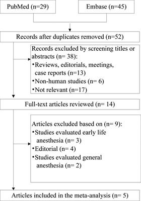 Labor epidural analgesia and risk of autism Spectrum disorders in offspring: A systematic review and meta-analysis